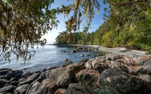 Vancouver Island Wilderness - Wild Pacific Northwest coastline of 