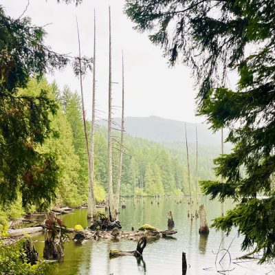 Westwood Lake Vancouver Island Summer